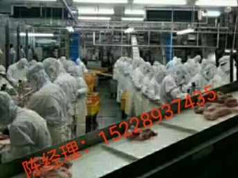 出國勞務 抓住國外雇主直招機遇，建筑工與工廠普工月薪高達3.5萬，天津移民與建筑工程新選擇