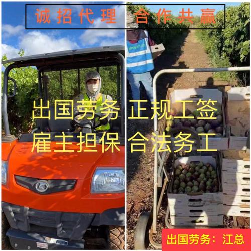 四川海聘勞務(wù)服務(wù)成立于2018年10月18日